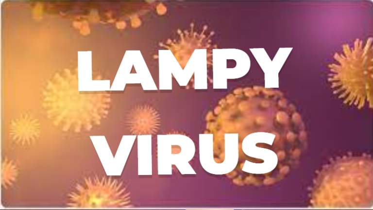एक नई खतरा: लम्पी वायरस (Lumpy Virus) का सम्पूर्ण ज्ञान